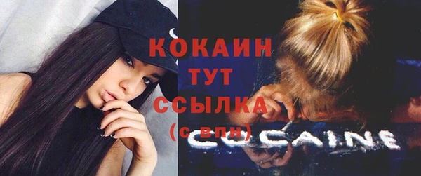 шишки Покровск