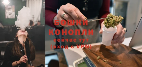 дмт Грязовец