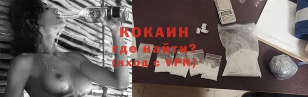 молекула духа Покачи