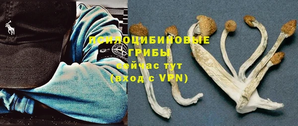 МДПВ Покров