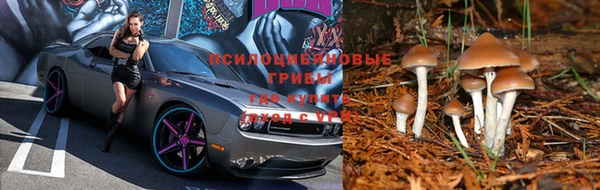 молекула духа Покачи