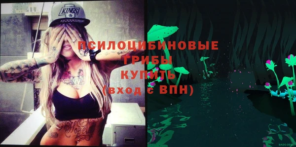 шишки Покровск